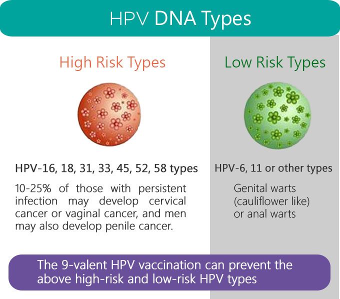ویروس HPV در ناباروری و نازایی