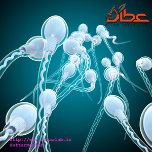 اسپرم Sperm or Semen